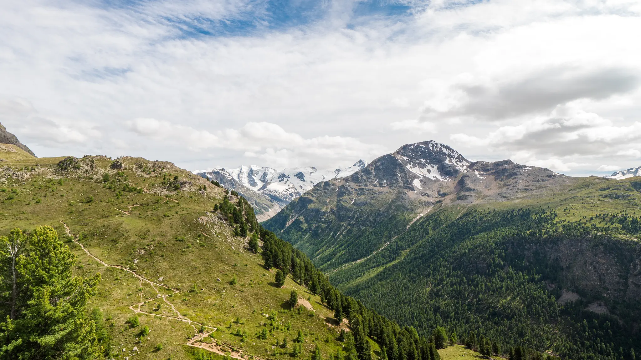 View From Alp Languard, Pontresina, Switzerland